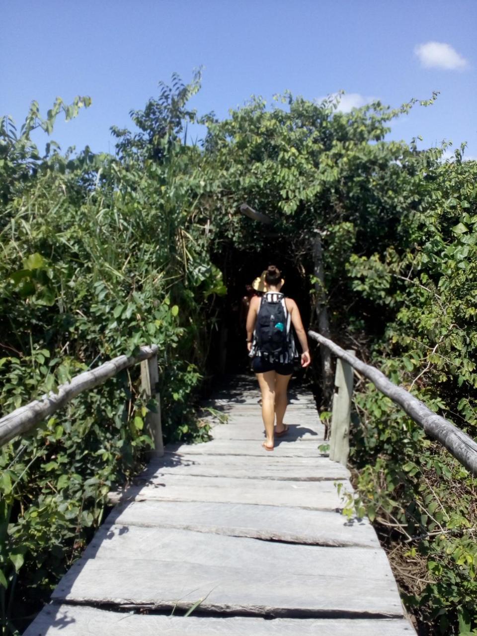 Arte Vida Hostel Itaunas  Dış mekan fotoğraf